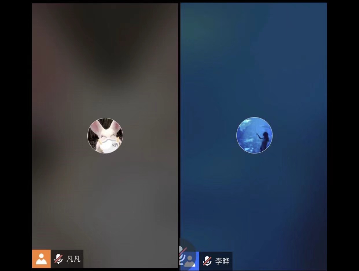 15590 15590